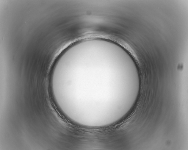 X0000092050436200709121028