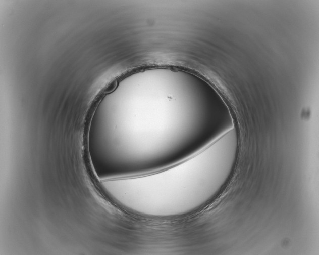 X0000092050438200709121028