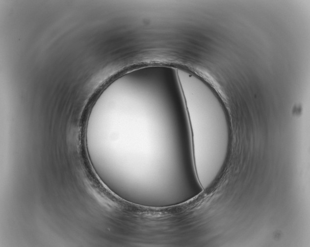 X0000092050439200709121028