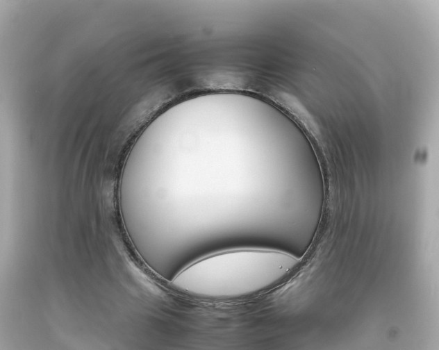 X0000092050441200709121028