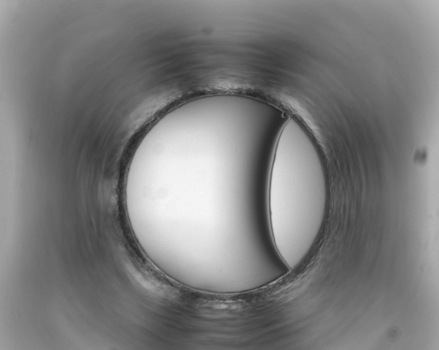 X0000092050443200709121028