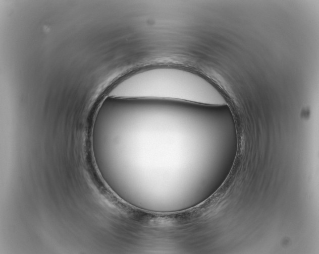 X0000092050444200709121028