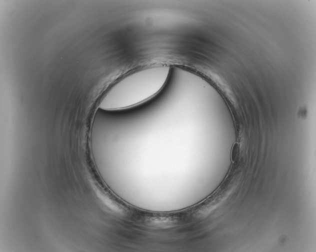 X0000092050445200709121028