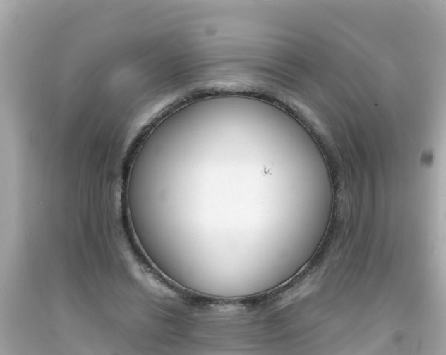 X0000092050446200709121028