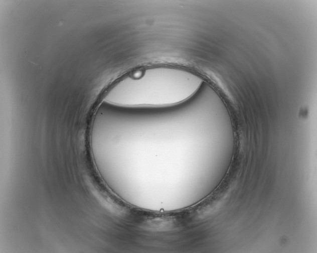 X0000092050447200709121028
