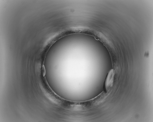 X0000092050448200709121028