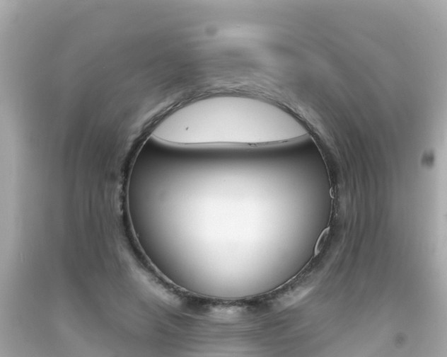 X0000092050450200709121028