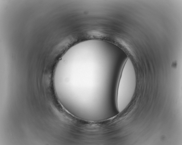 X0000092050451200709121028
