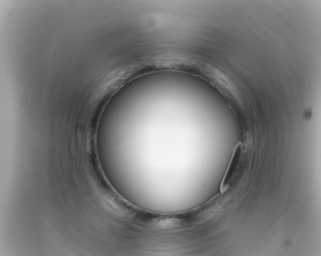X0000092050452200709121028