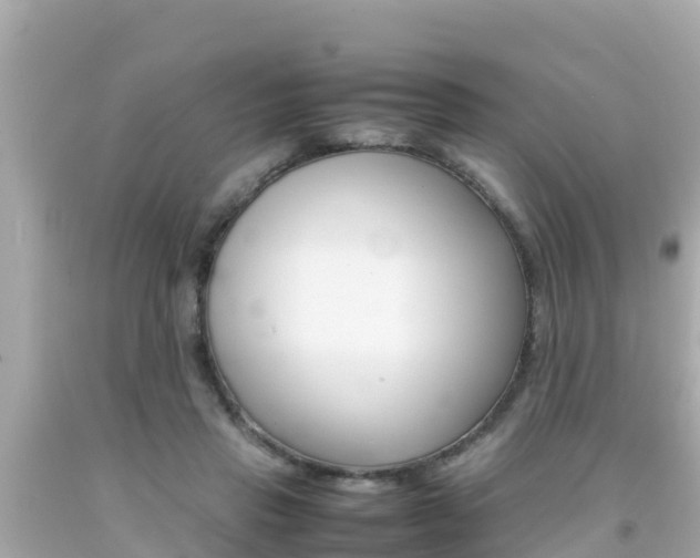 X0000092050453200709121028