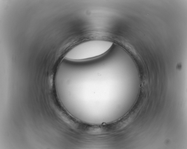 X0000092050454200709121028