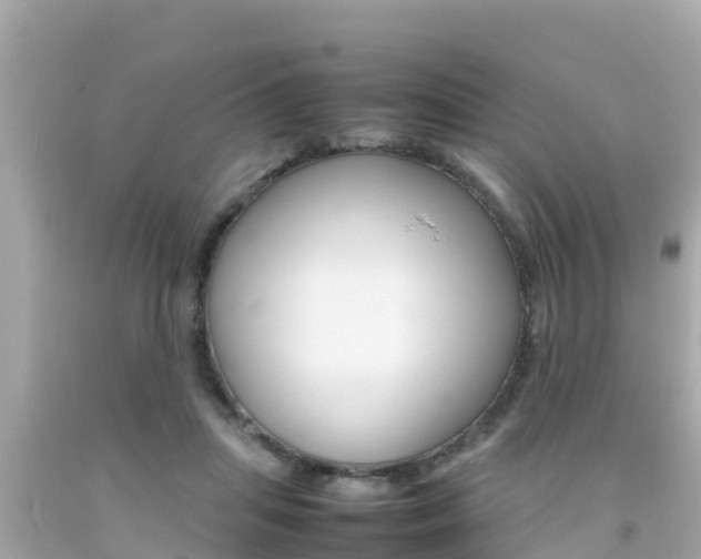 X0000092050455200709121028