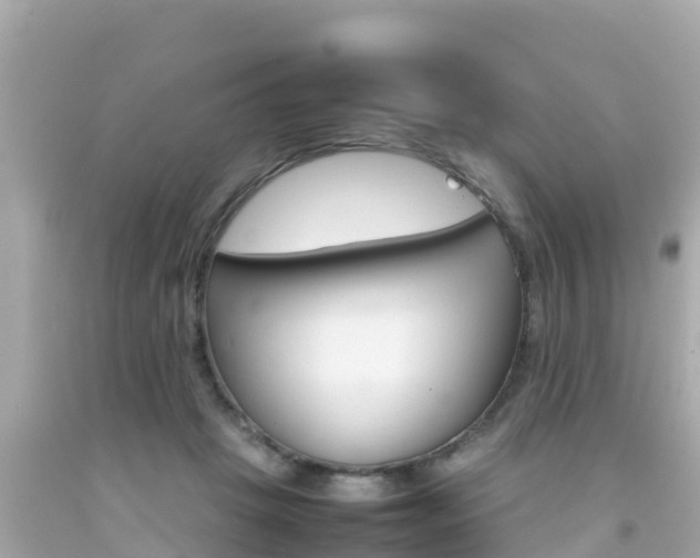 X0000092050457200709121028