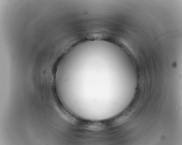X0000092050459200709121028