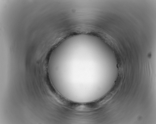 X0000092050460200709121028