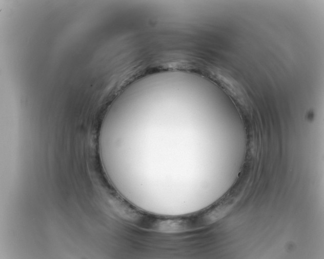 X0000092050461200709121028