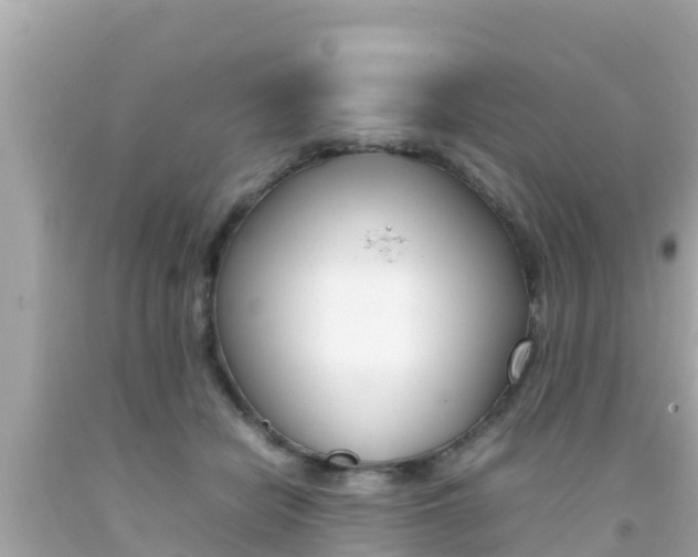 X0000092050462200709121028