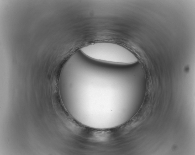 X0000092050465200709121028