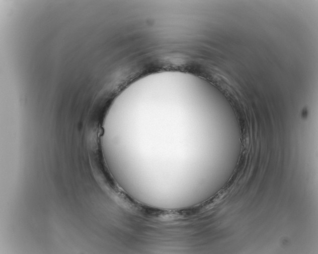 X0000092050468200709121028
