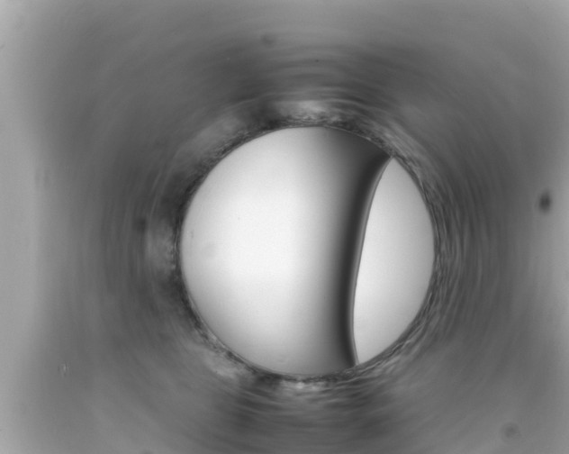 X0000092050469200709121028