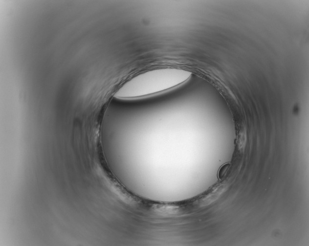 X0000092050476200709121029