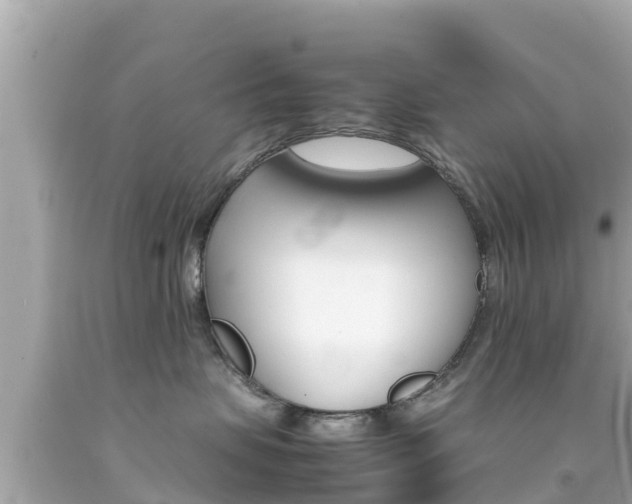 X0000092050479200709121029
