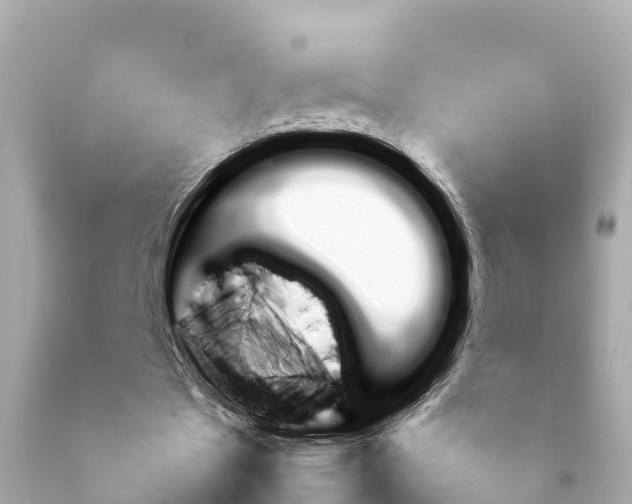X0000092050481200709121028