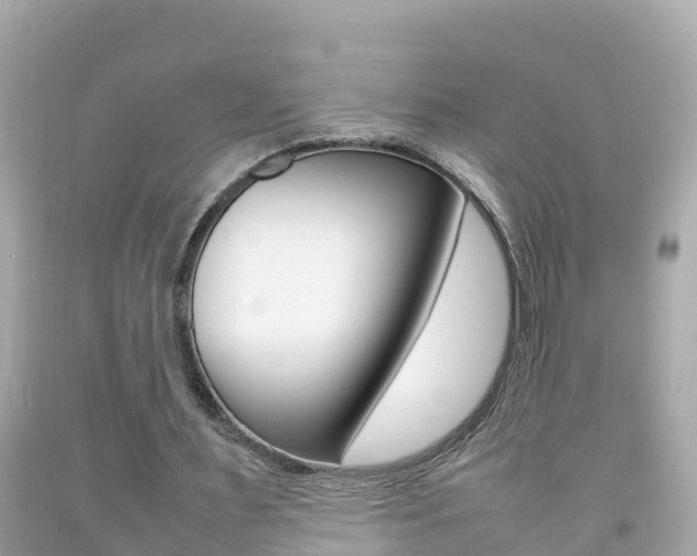 X0000092050483200709121028