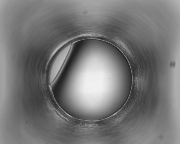 X0000092050484200709121028