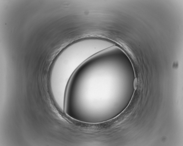 X0000092050485200709121028
