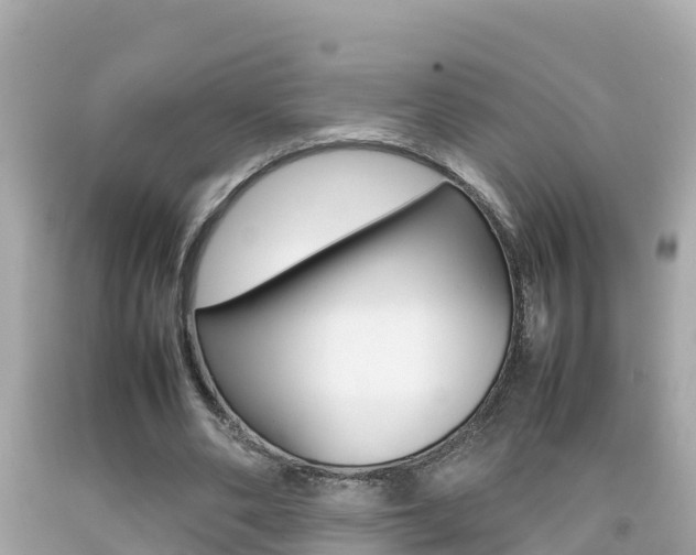 X0000092050486200709121028