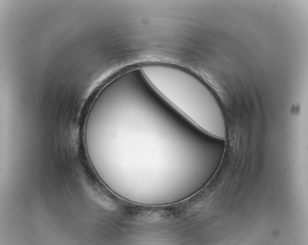 X0000092050488200709121028