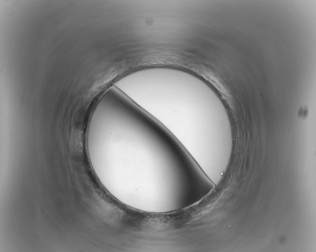 X0000092050489200709121028