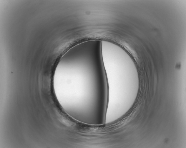 X0000092050493200709121028