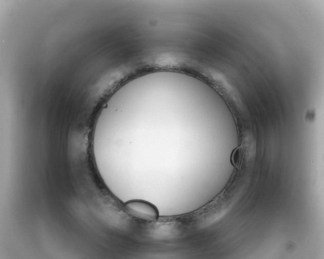 X0000092050495200709121028