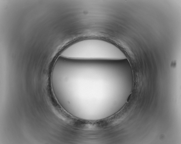 X0000092050496200709121028