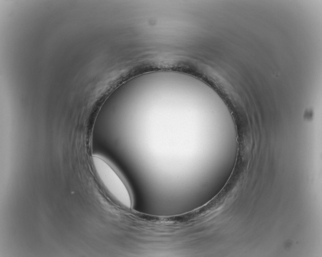 X0000092050497200709121028