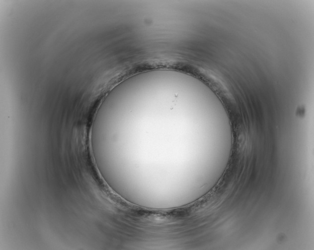 X0000092050498200709121028