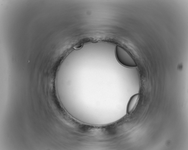 X0000092050499200709121028