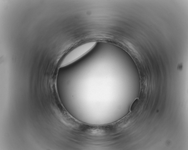 X0000092050500200709121028