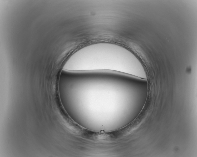 X0000092050501200709121028
