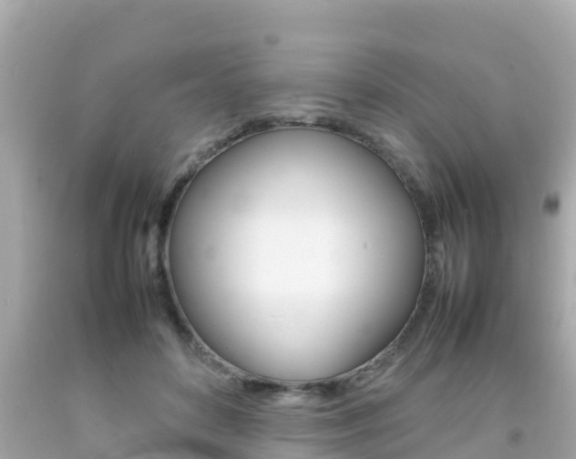 X0000092050504200709121028