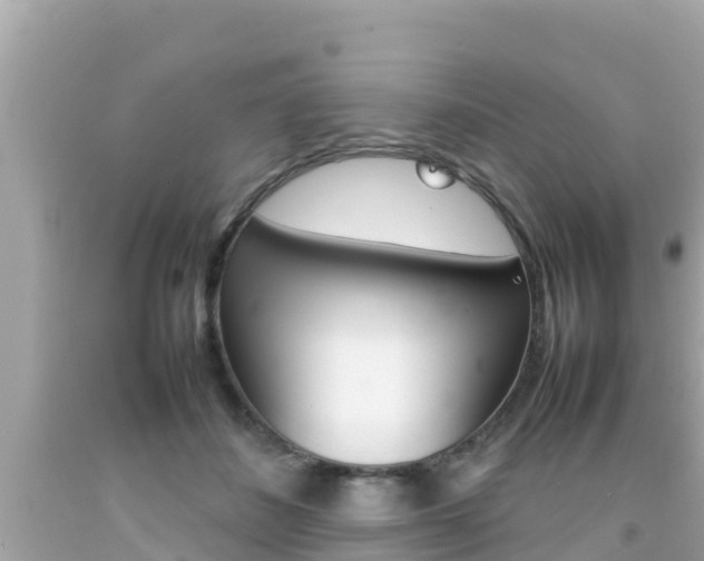 X0000092050508200709121027