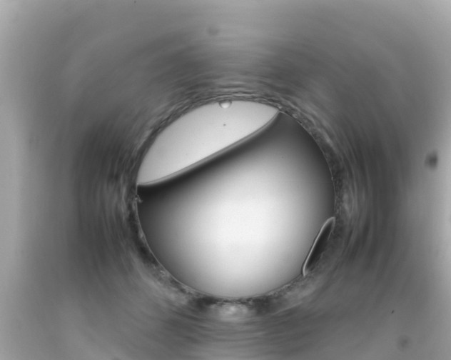 X0000092050512200709121027