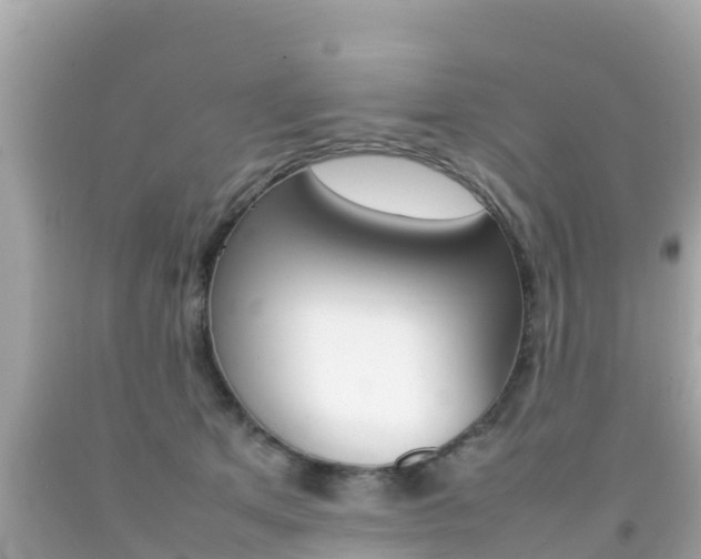 X0000092050513200709121027