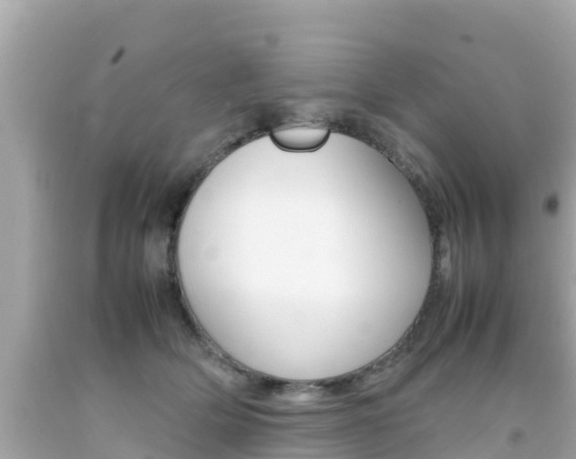 X0000092050514200709121027