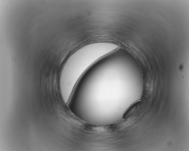 X0000092050516200709121027