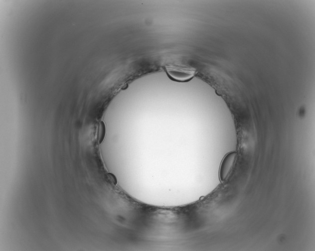 X0000092050519200709121027