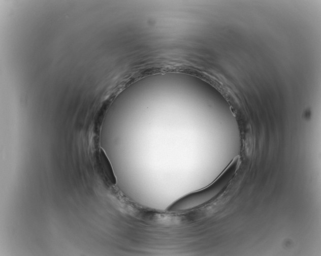 X0000092050520200709121027