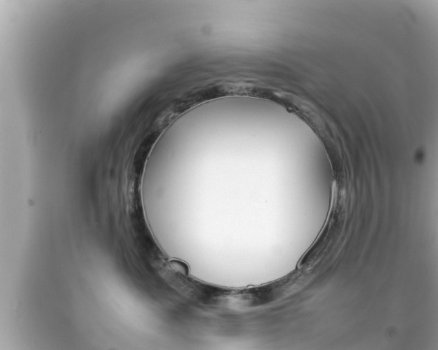 X0000092050525200709121027